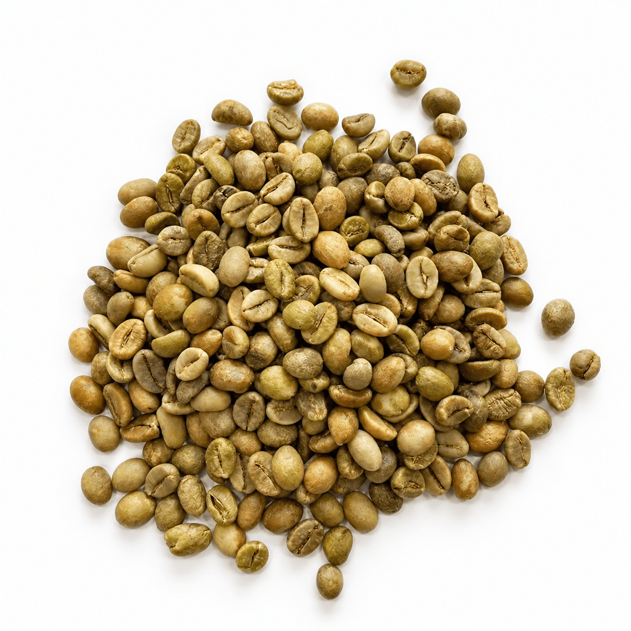 Robusta Green Coffee Beans – Single origin | Coorg view 1