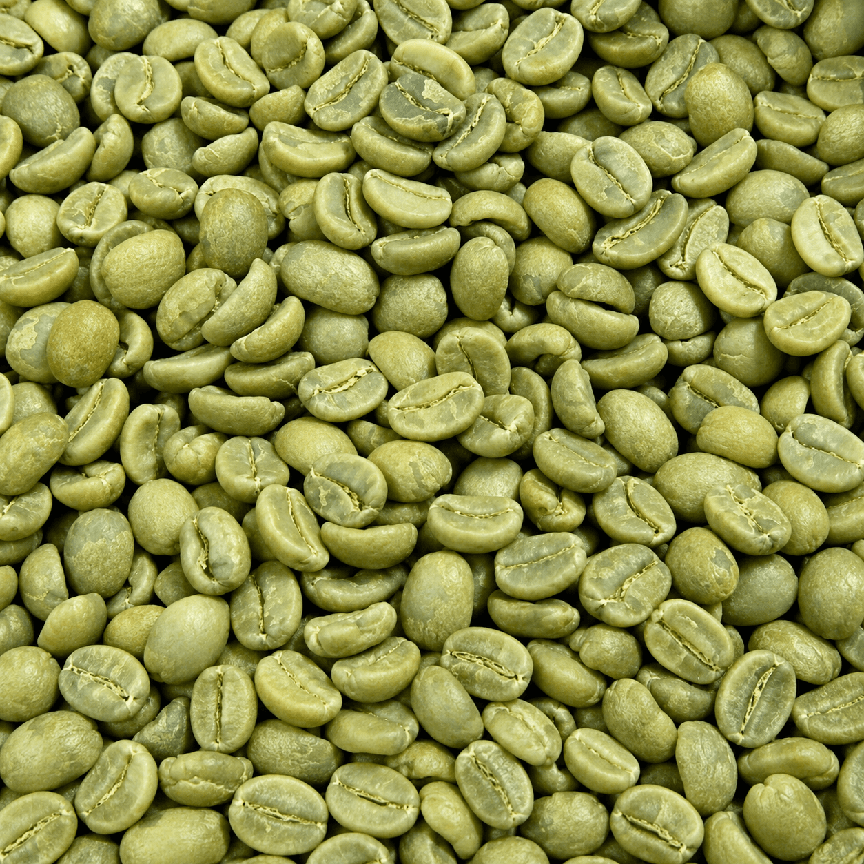 Samruddhi Estate Green Coffee Beans view 1