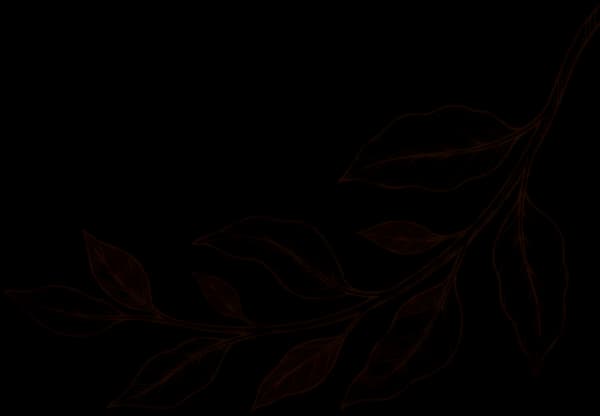 Decorative coffee leaves